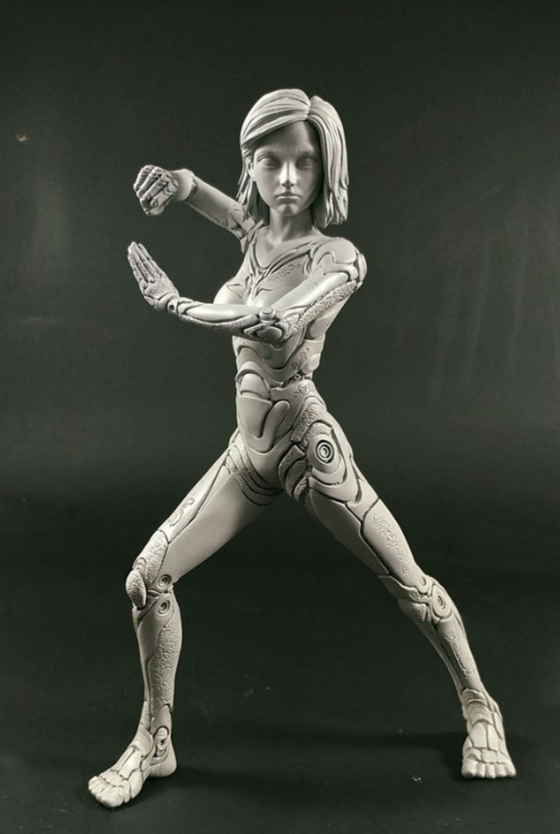 askf.png Alita 3d printing model - Image 1