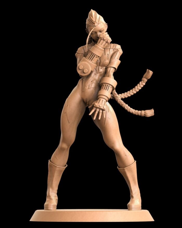 Cammy NSFW 3D Printing stl files - Image 1